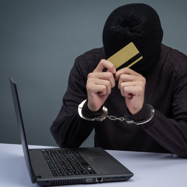 Cyber Crime Cases
